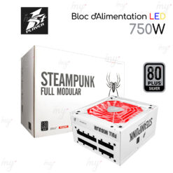 Alimentation PC 850W First Player Steampunk Gold PS-850SP - imychic