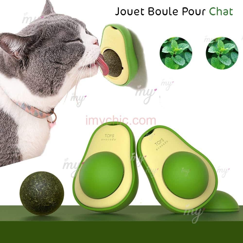 Jouet Boule De Menthe Catnip Avocat Pour Chat - imychic